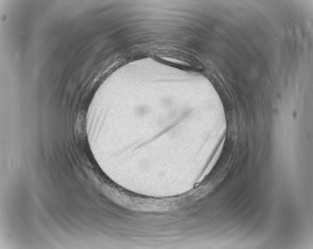 X0000085320044200704100000
