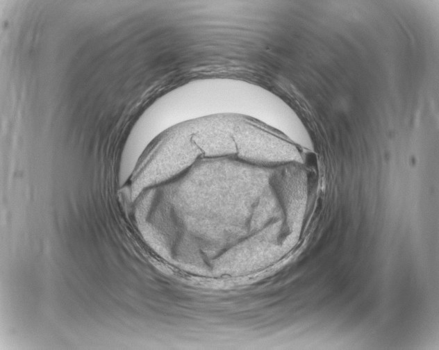 X0000085320045200704100000