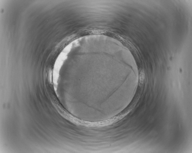 X0000085320046200704100000