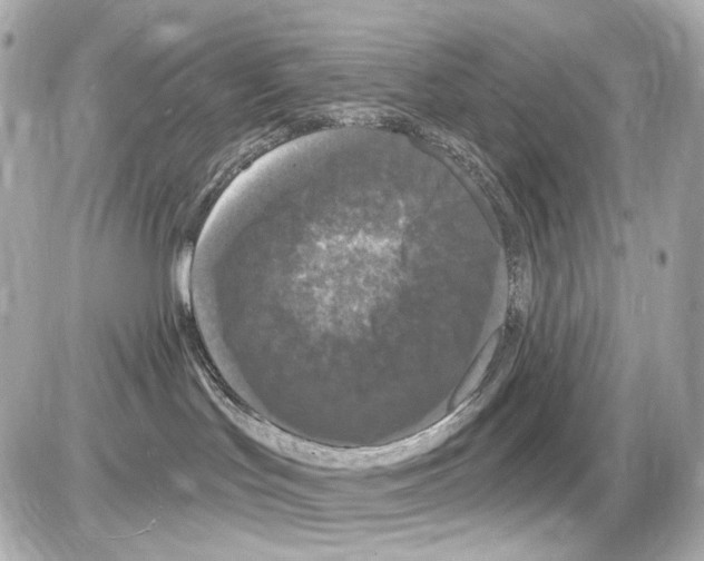 X0000085320047200704100000