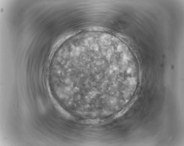 X0000085320049200704092359