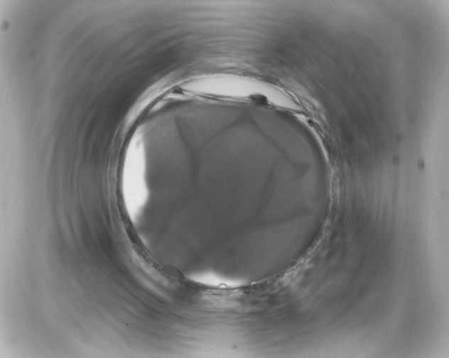 X0000085320051200704092359