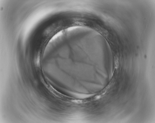 X0000085320052200704092359