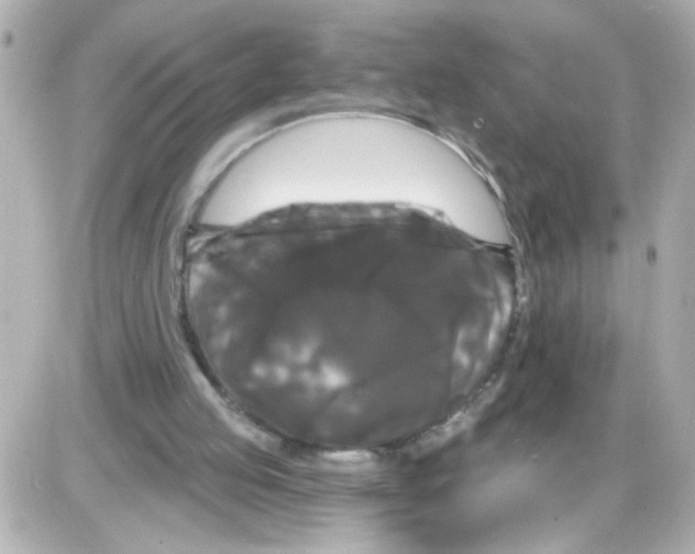 X0000085320053200704092359