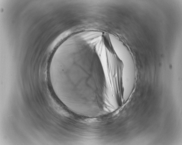X0000085320054200704092359