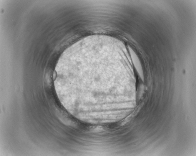 X0000085320074200704092359