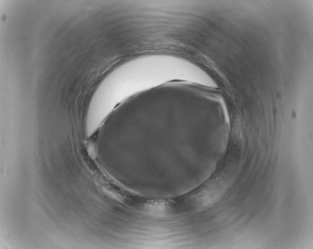 X0000085320076200704092359