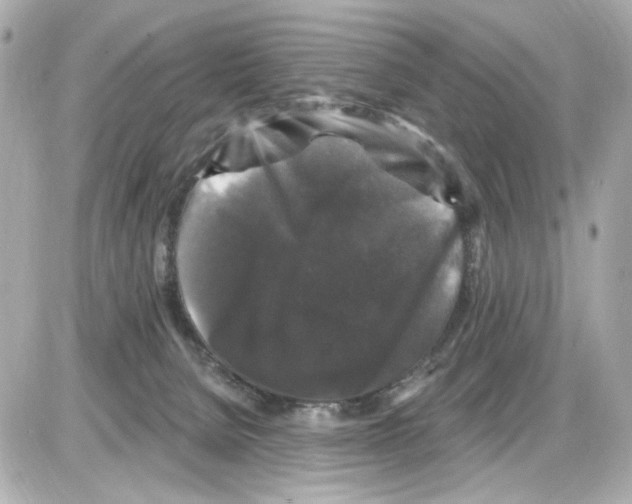 X0000085320080200704092359