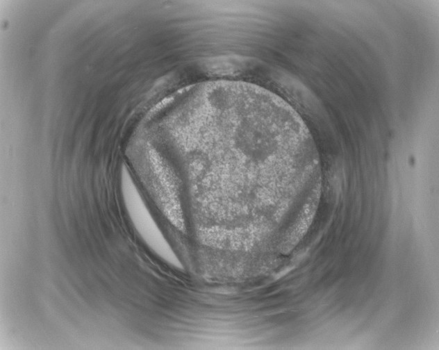 X0000085320081200704092359