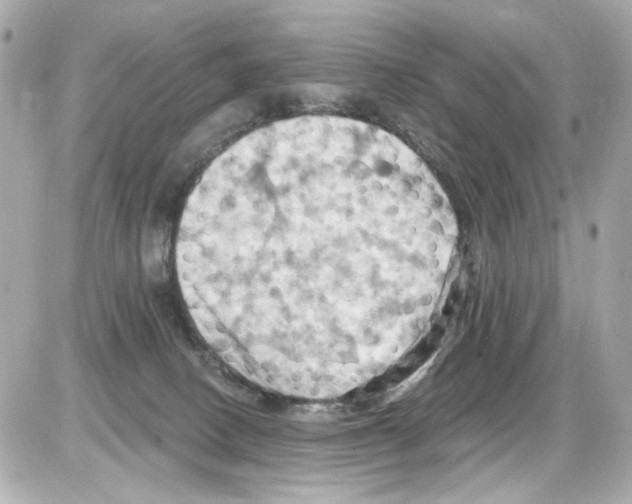 X0000085320082200704092359