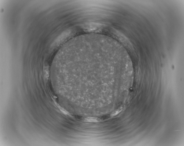 X0000085320085200704092359