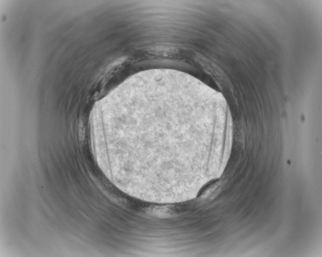 X0000085320086200704092359