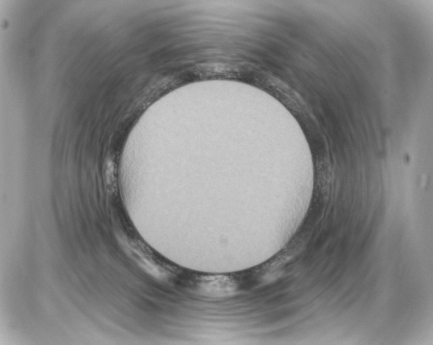 X0000085320087200704092359