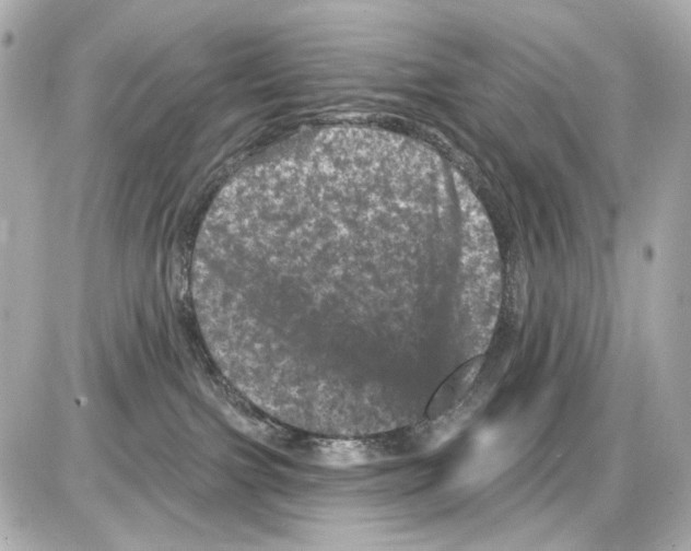 X0000085320091200704100000