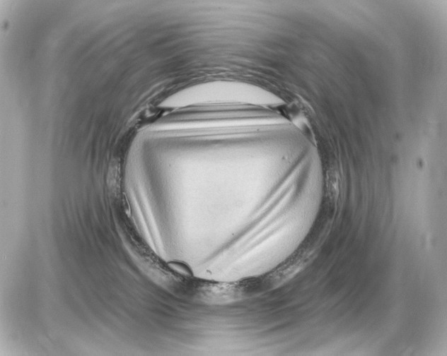 X0000085320092200704100000
