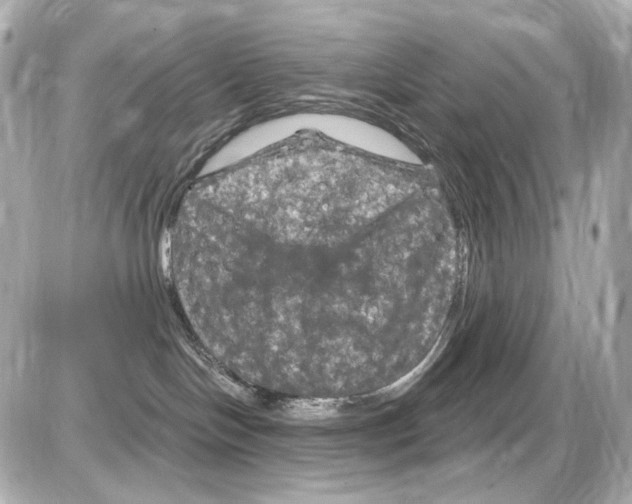 X0000085320094200704100000