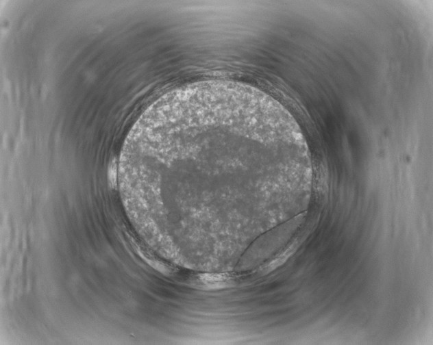 X0000085320095200704100000
