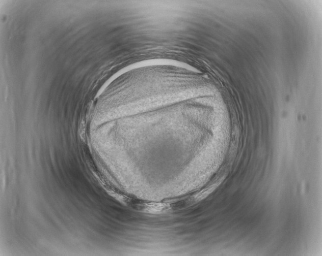 X0000085320096200704100000