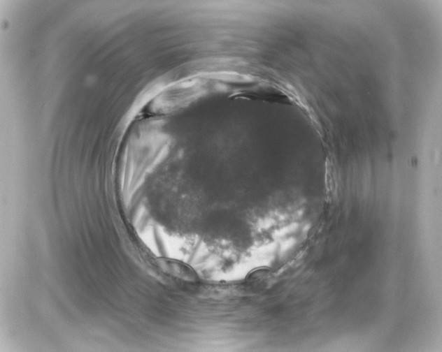 X0000085320099200704092359