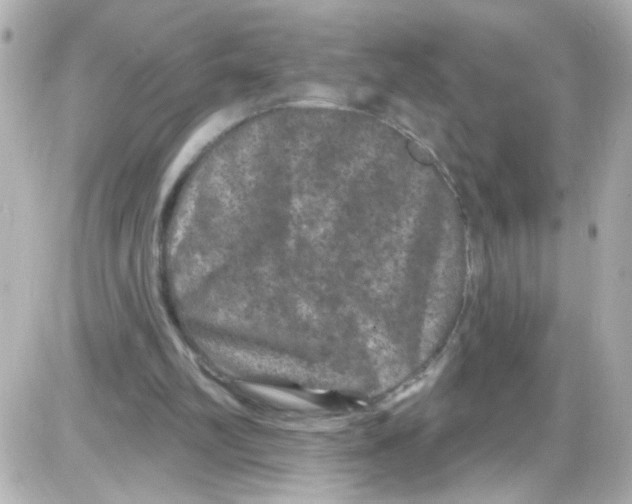 X0000085320102200704092359