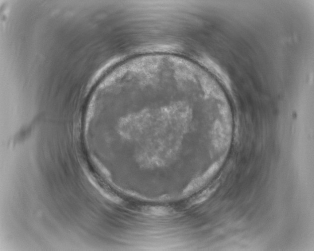 X0000085320107200704092359