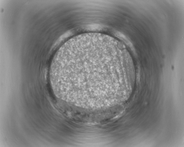 X0000085320115200704092358