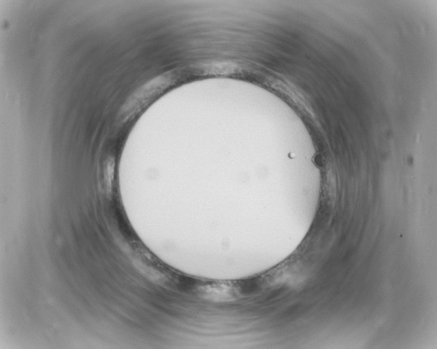 X0000085320118200704092358