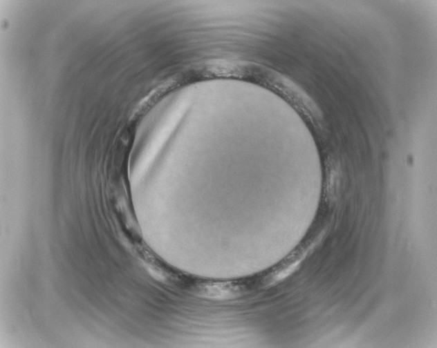 X0000085320121200704092358