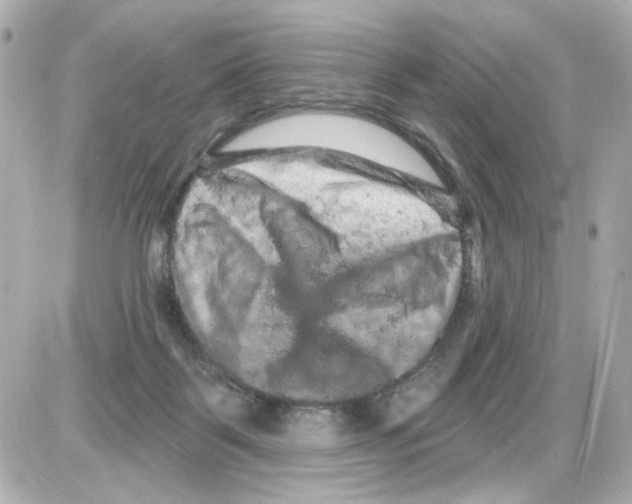 X0000085320123200704092358
