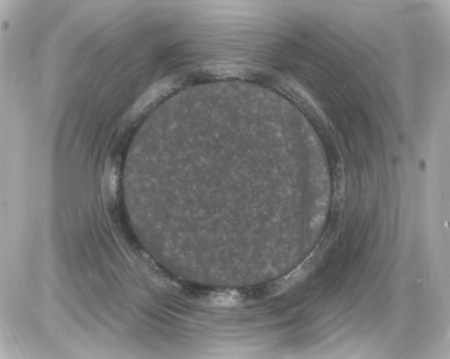 X0000085320124200704092358
