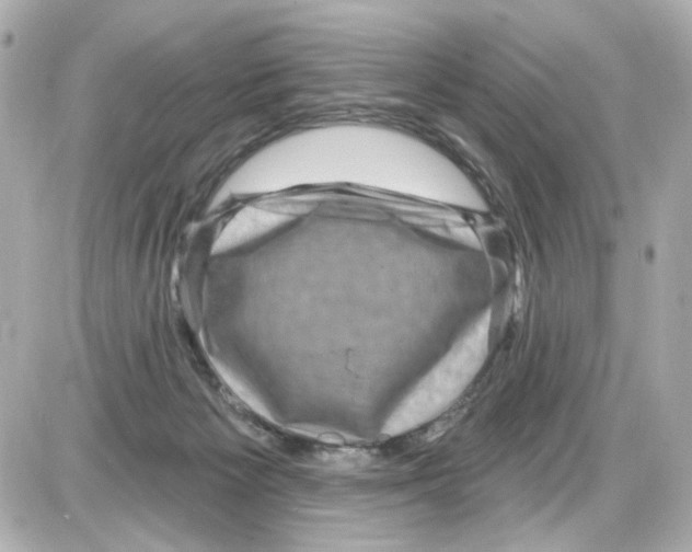 X0000085320125200704092358