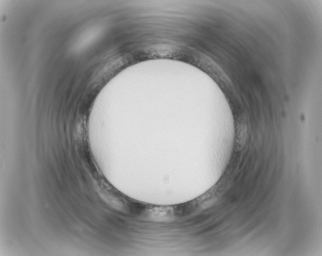 X0000085320126200704092358