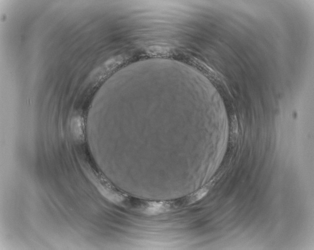 X0000085320130200704092358
