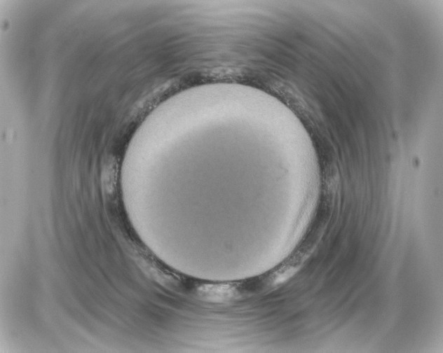 X0000085320133200704092358