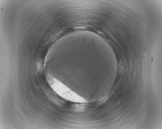 X0000085320134200704092358