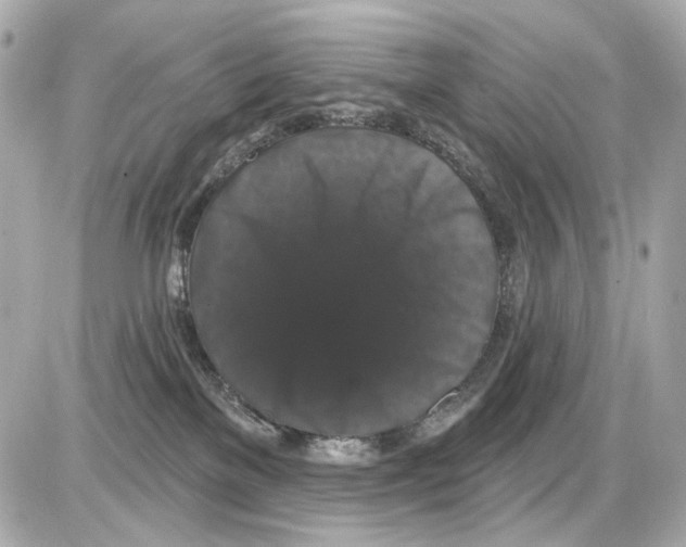 X0000085320137200704092358