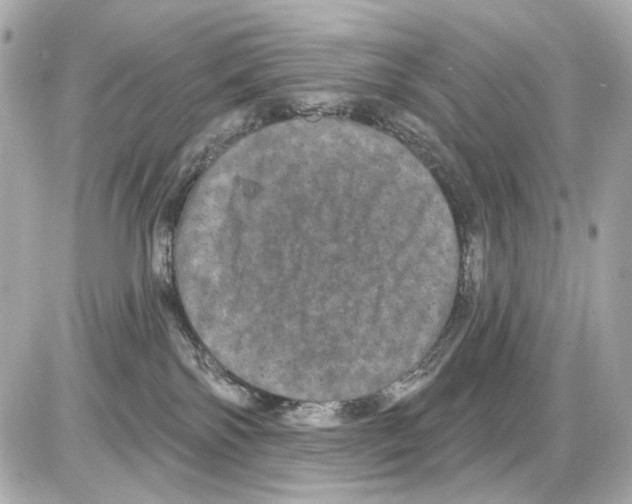 X0000085320138200704092358
