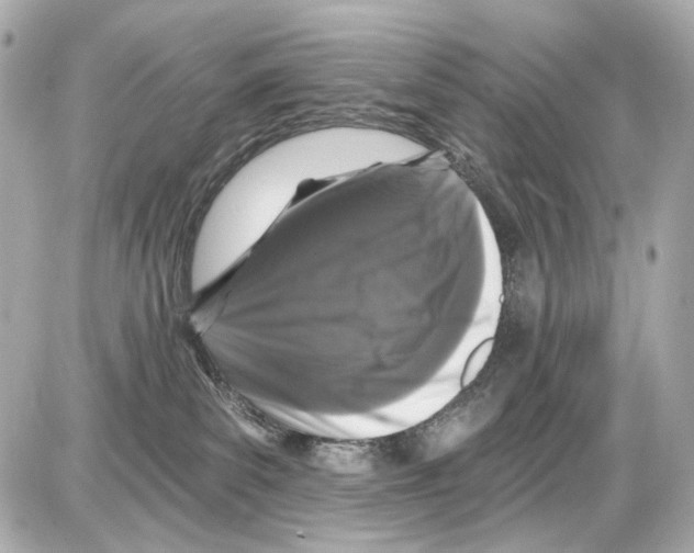 X0000085320139200704092358
