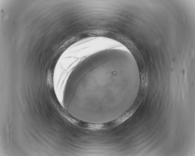 X0000085320143200704092358