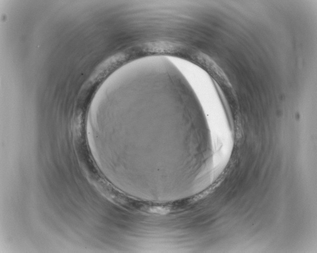 X0000085320163200704092357