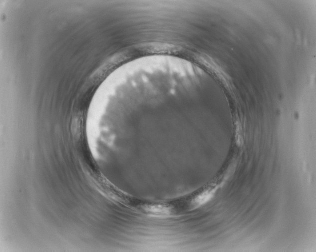 X0000085320165200704092358