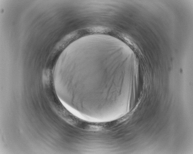 X0000085320167200704092358
