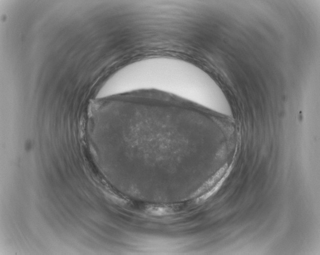 X0000085320174200704092358