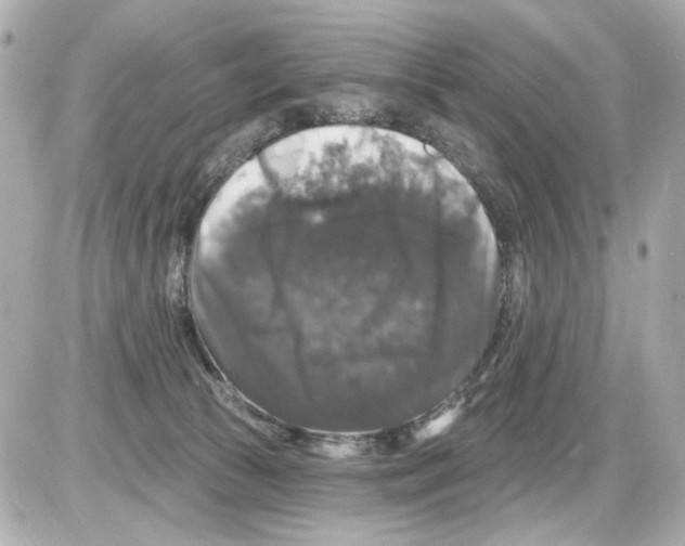 X0000085320177200704092358