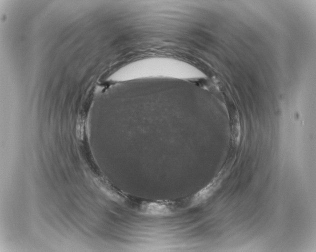 X0000085320180200704092358