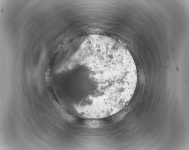 X0000085320181200704092358