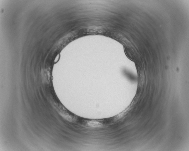 X0000085320183200704092358
