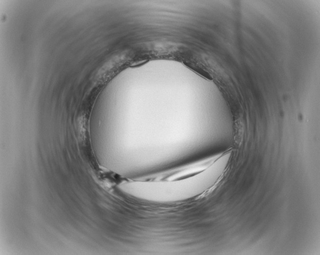 X0000085320184200704092358