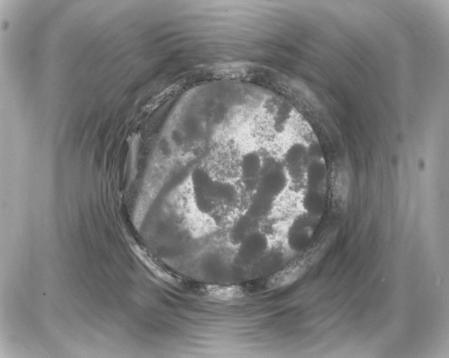 X0000085320185200704092358