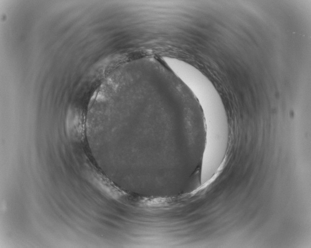 X0000085320186200704092358